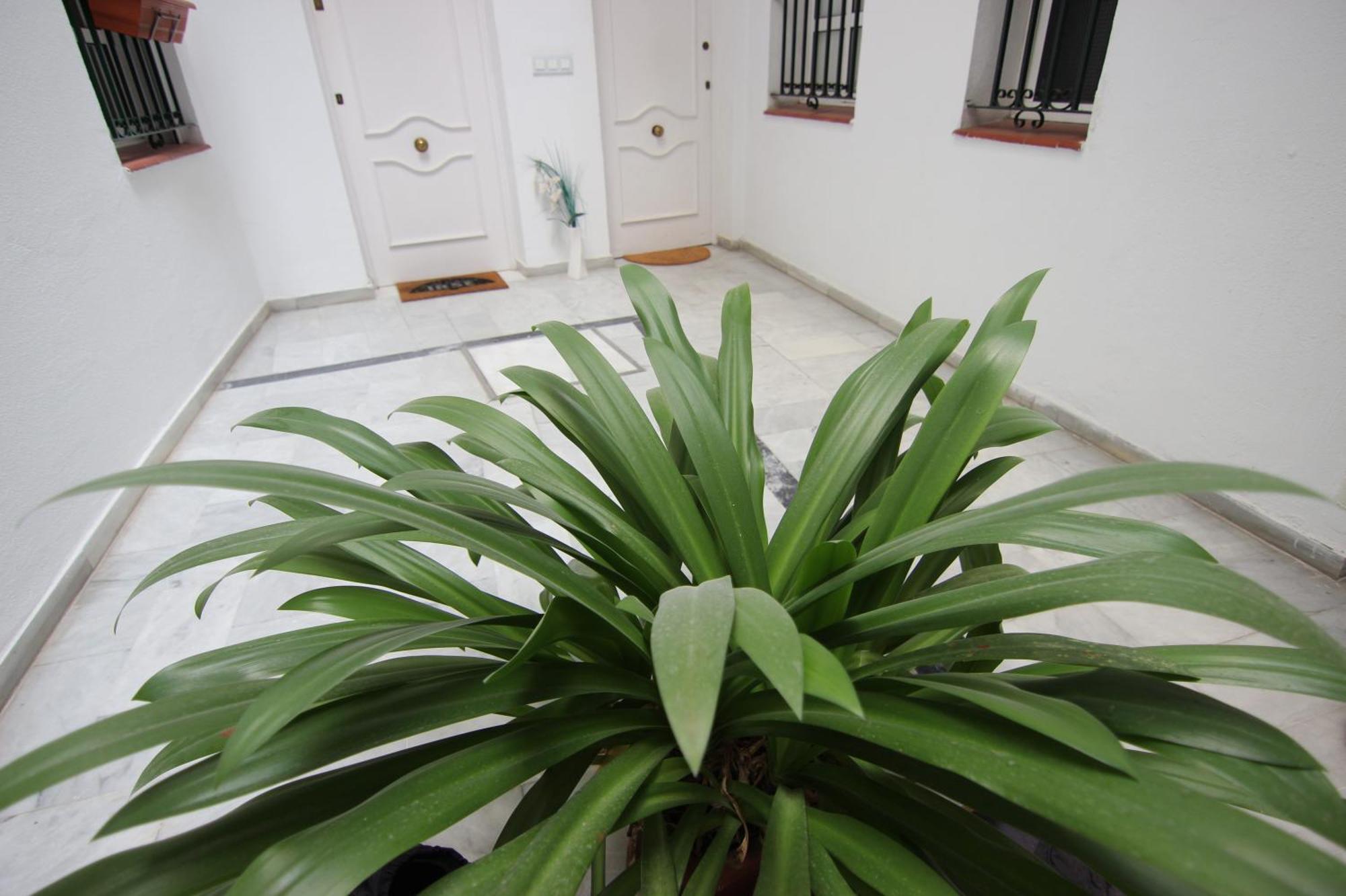 Corazon De Triana Appartement *
