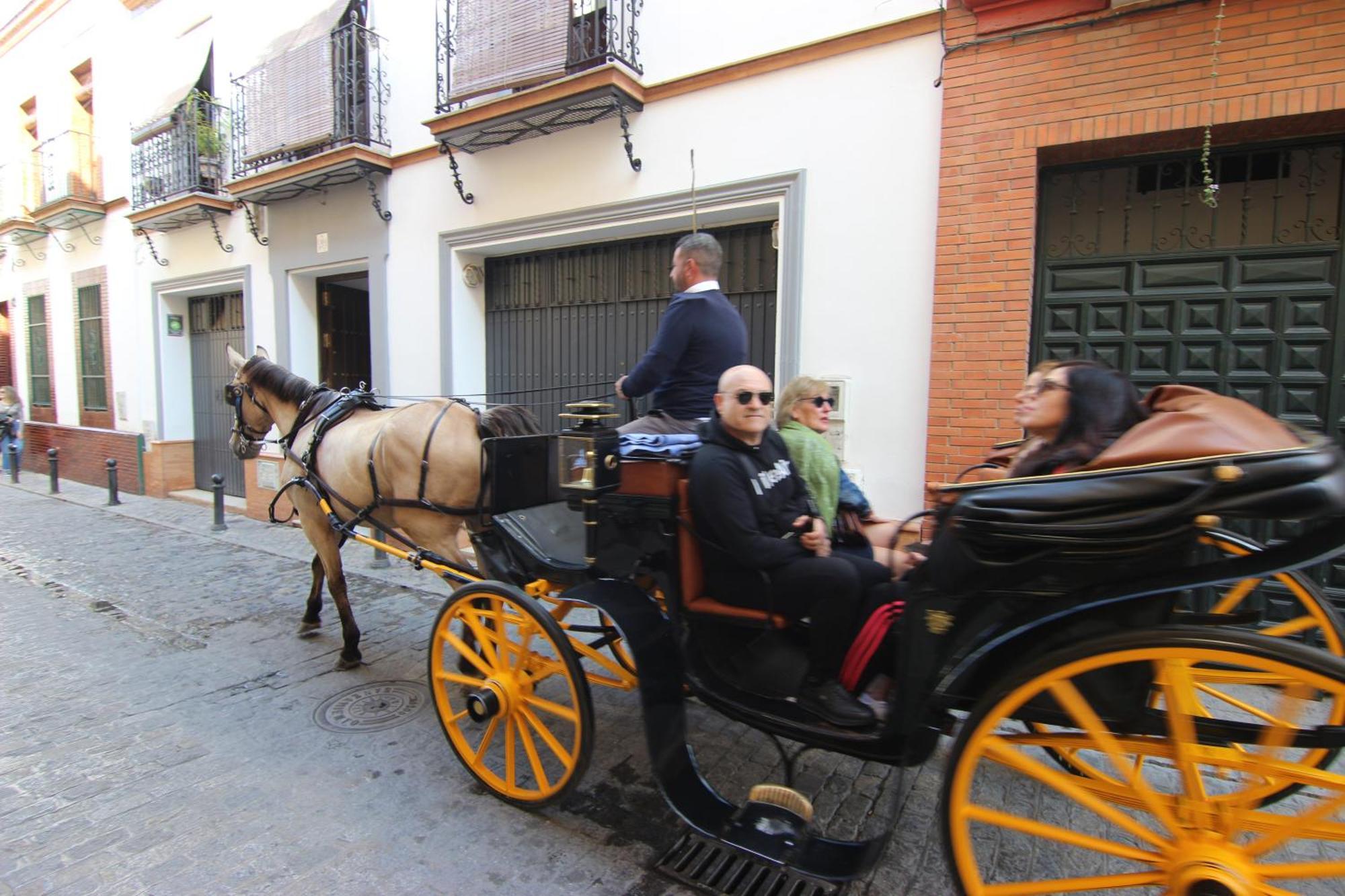 Appartement Corazon De Triana *